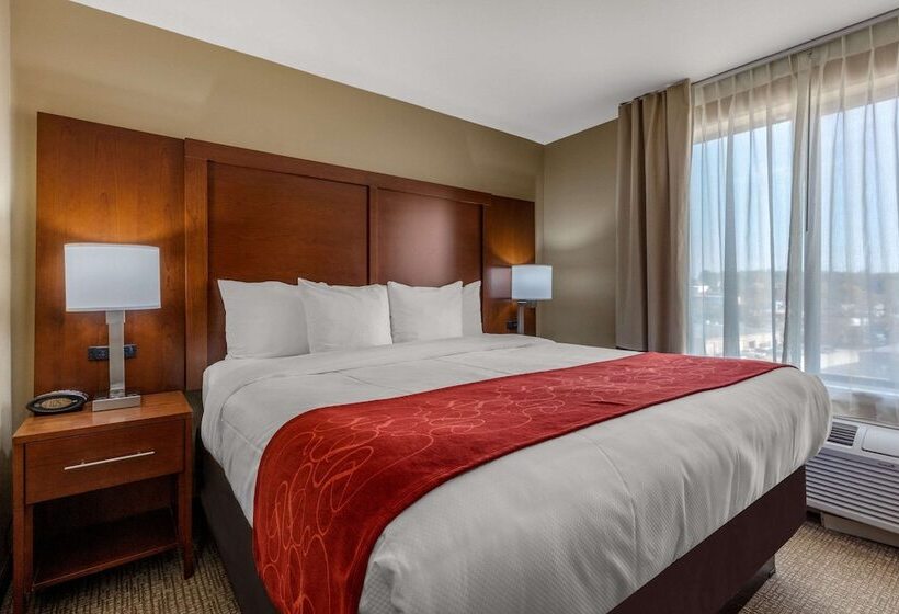 Люкс, Comfort Suites Pelham Hoover I 65
