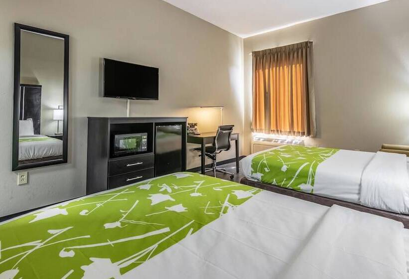 Номер Стандарт 2 Двуспальные Кровати, Americas Best Value Inn Opelika