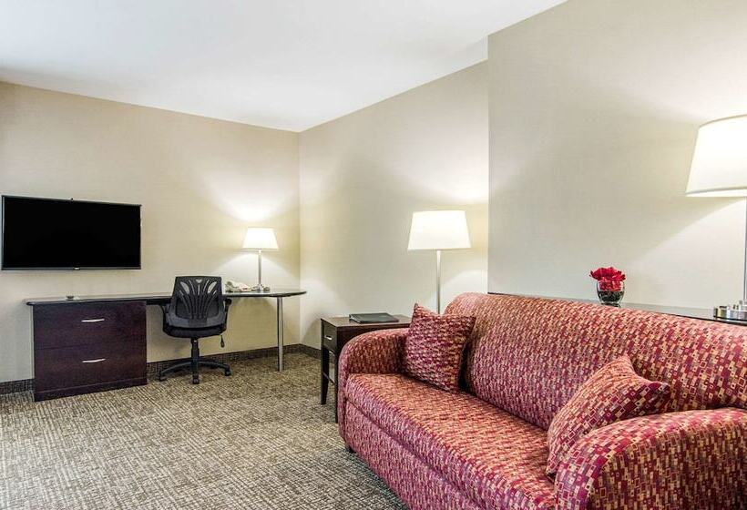 Люкс Адаптированный для Инвалидов, Comfort Suites Bentonville  Rogers