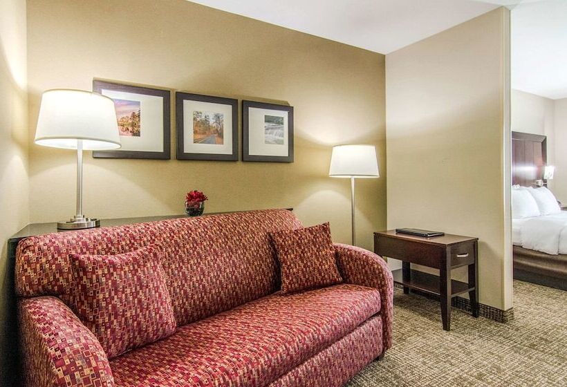 Люкс Адаптированный для Инвалидов, Comfort Suites Bentonville  Rogers
