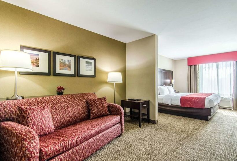 Люкс Адаптированный для Инвалидов, Comfort Suites Bentonville  Rogers