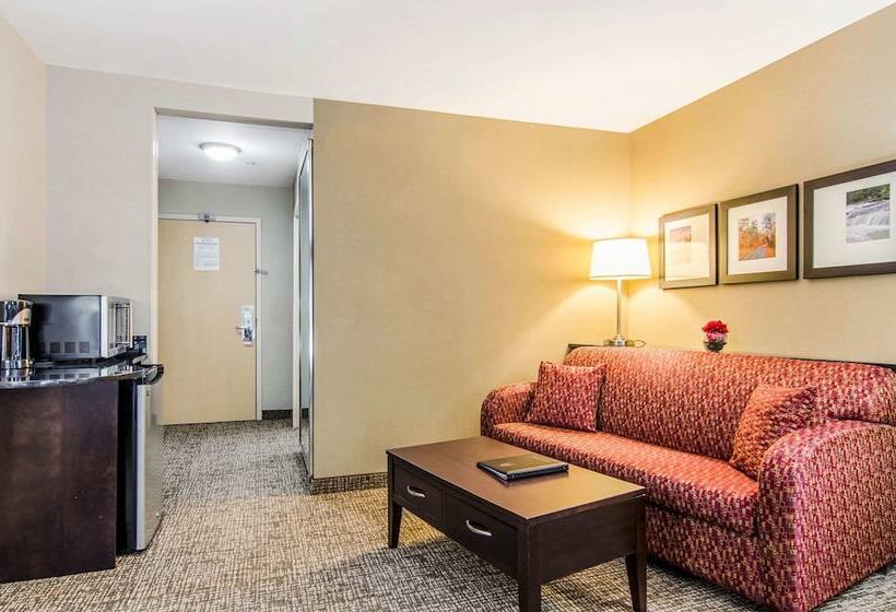 Люкс, Comfort Suites Bentonville  Rogers