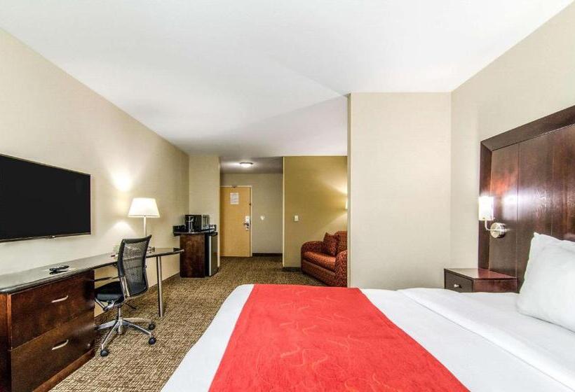 Люкс Адаптированный для Инвалидов, Comfort Suites Bentonville  Rogers