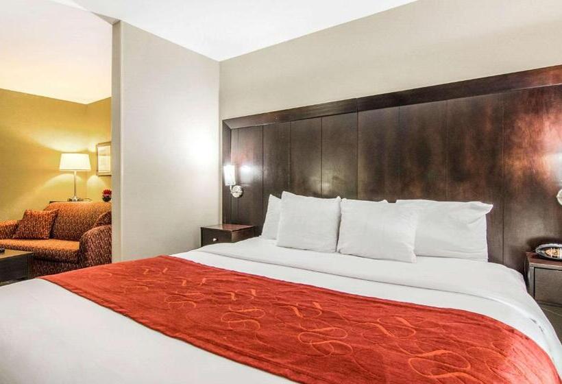 Люкс Кровать Кинг, Comfort Suites Bentonville  Rogers