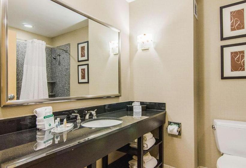 Люкс, Comfort Suites Bentonville  Rogers