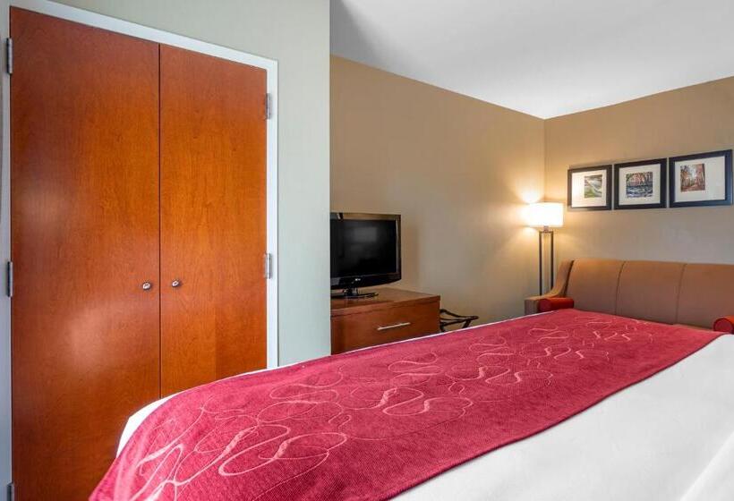 מיטת קינג בסוויטה, Comfort Suites North