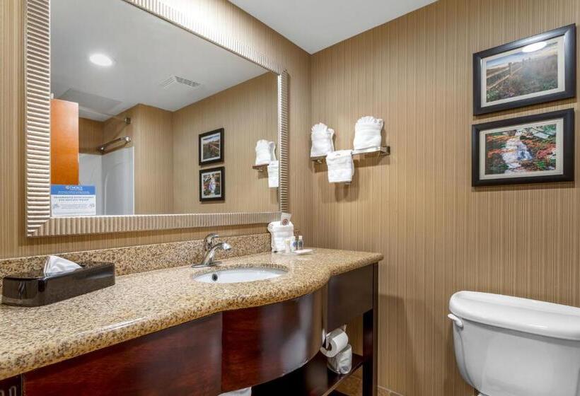 סוויטה, Comfort Suites North