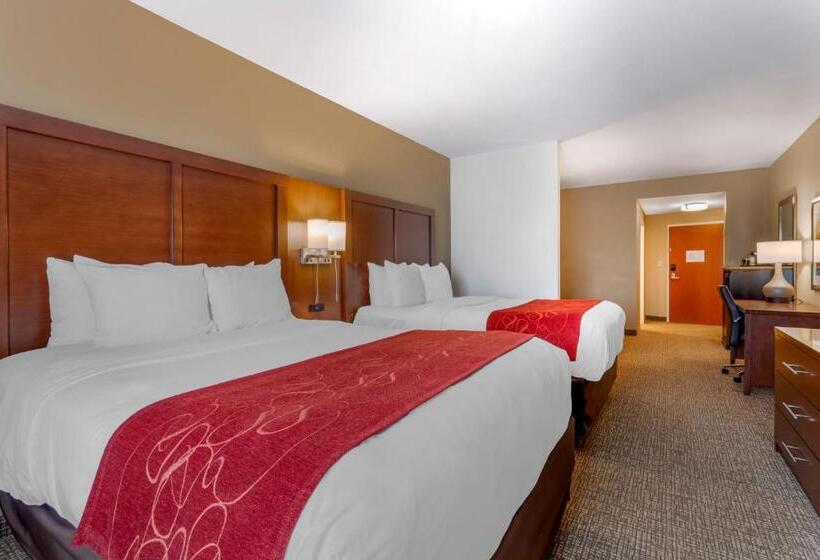 סוויטה, Comfort Suites North
