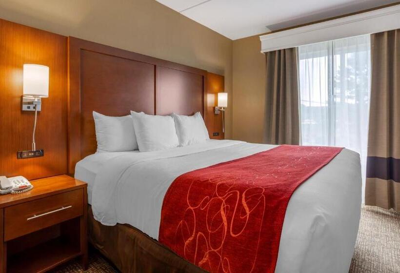 סוויטה, Comfort Suites North