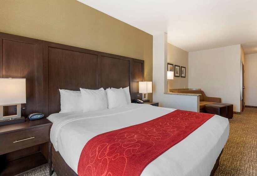 Люкс, Comfort Suites Ontario Airport Convention Center