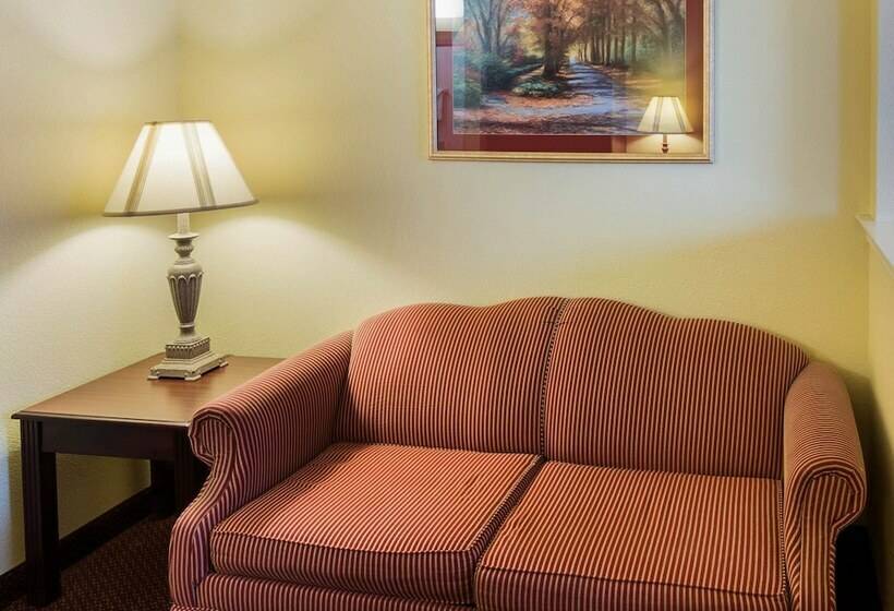 Люкс Адаптированный для Инвалидов, Comfort Suites Texarkana Texas