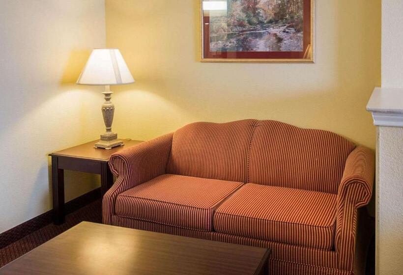 Люкс, Comfort Suites Texarkana Texas