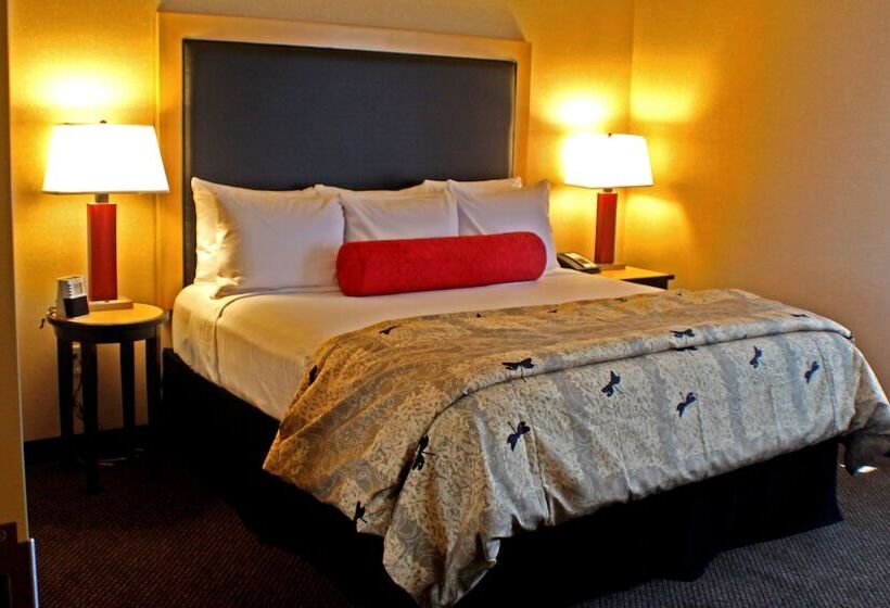 Номер Стандарт 2 Двуспальные Кровати, Doubletree By Hilton Hotel Oklahoma City Airport