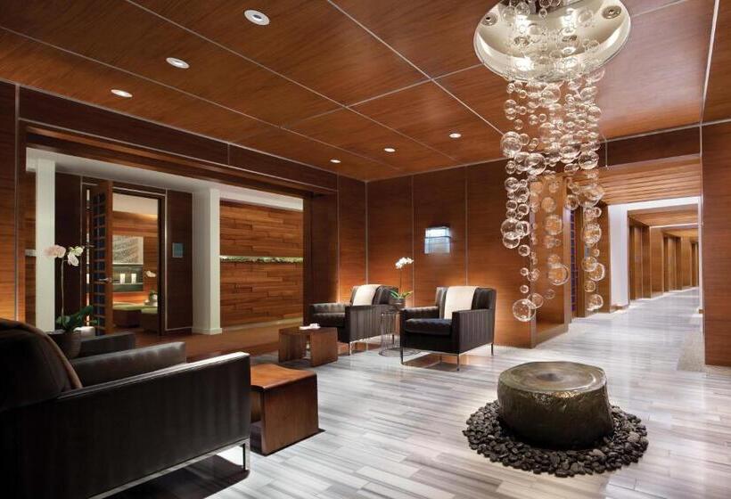 سوییت لوکس, Jet Luxury At The Vdara