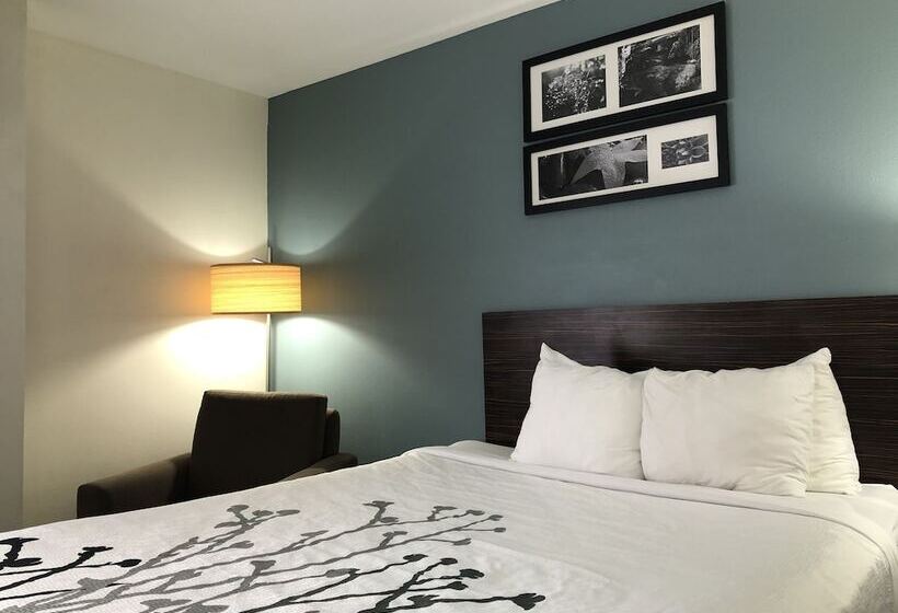 스위트, Spark By Hilton Montgomery Eastchase