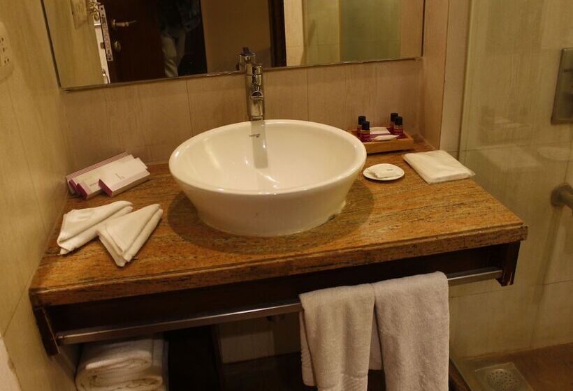 豪华房间, Royal Orchid Central Jaipur, Bani Park