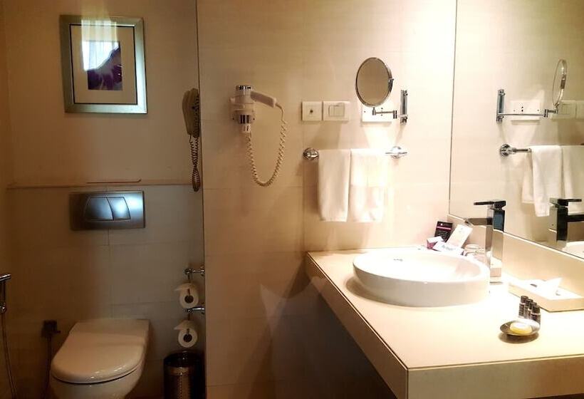 Номер Deluxe, Royal Orchid Central Pune