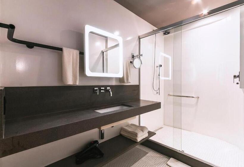 이그제큐티브 룸 킹사이즈 침대, Novotel Lencois Paulista