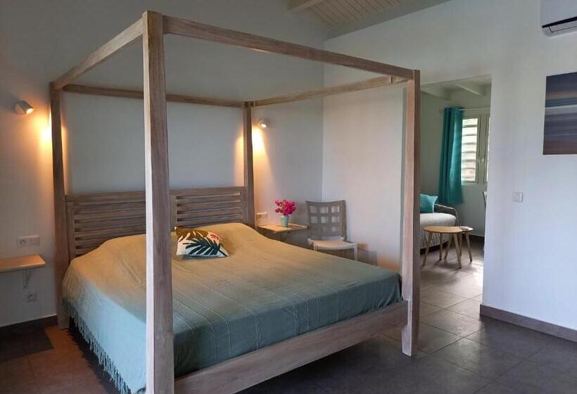 آپارتمان 1 خوابه با چشم‌انداز استخر, Tiko Lodge Sxm