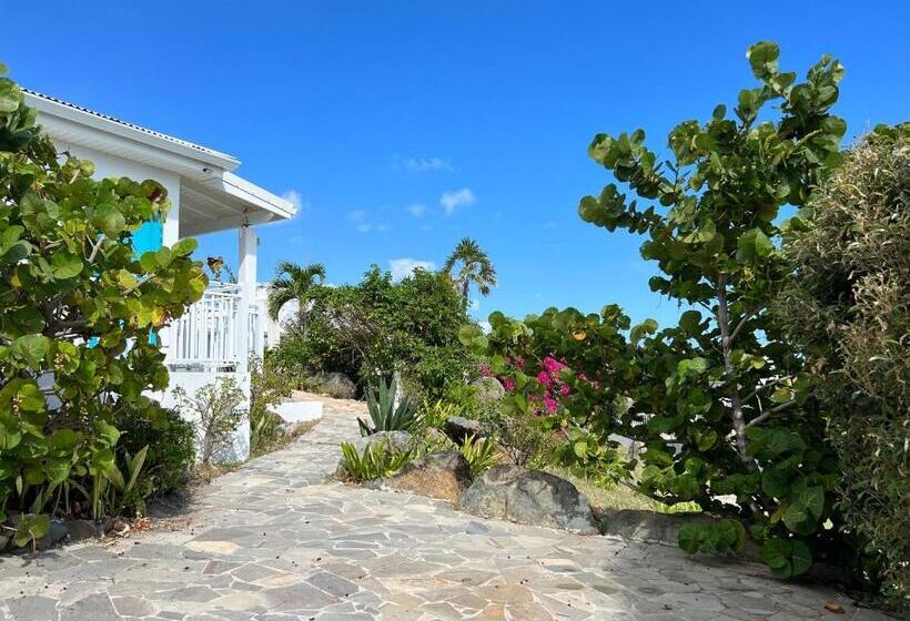 اتاق استاندارد با چشم‌انداز دریا, Tiko Lodge Sxm