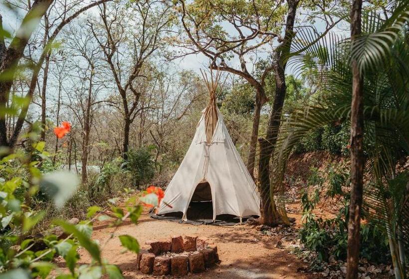 اتاق استاندارد, Mojigao   Eco Resort