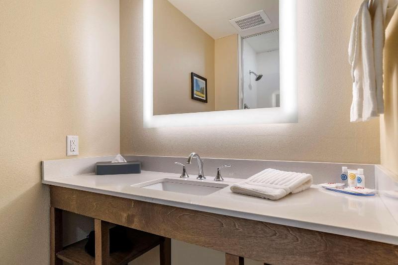 Camera Standard, Iq Hotel Roma