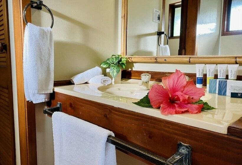 Хижина Deluxe, Pacific Harbour Villas