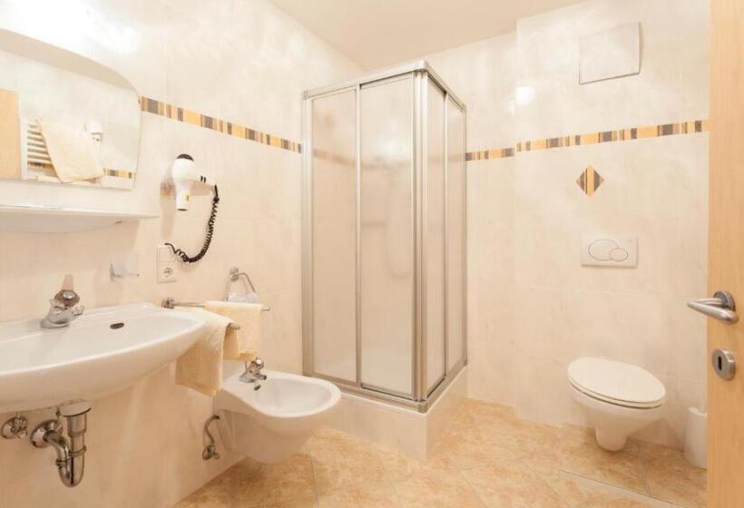 带1个卧室带观景的公寓, Alpenspitz Appartements   Garni   B&b