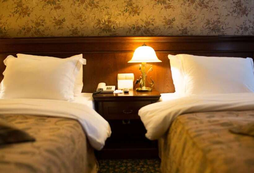 デラックスルーム, Germir Palas Hotel   Special Class