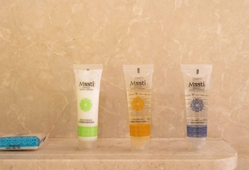 اتاق استاندارد با تخت دوبل, Hyatt Centric Janakpuri New Delhi