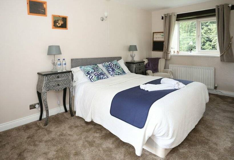 Номер Deluxe, Merrymouth Inn