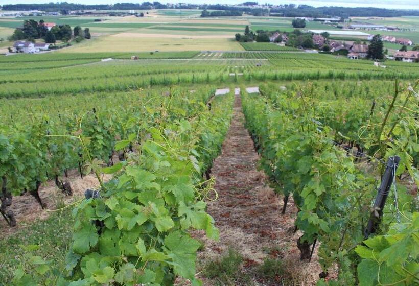 اتاق کلاسیک, Au Cœur Du Vignoble Sur Bursins