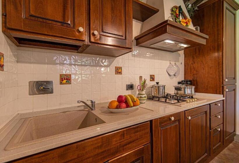 شقة غرفة واحدة مزودة بتراس, Agriturismo Casavaiano