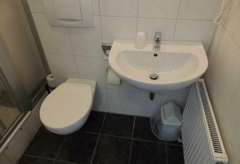 Номер Стандарт Индивидуальный, Airport Business Hotel Köln