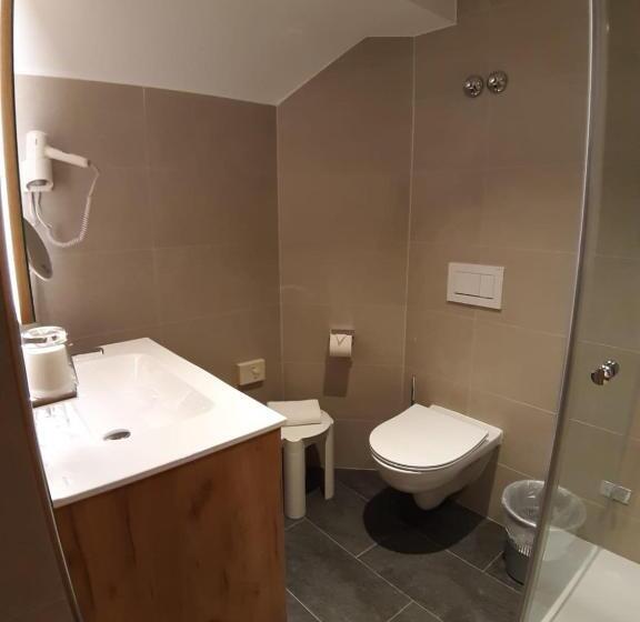 스탠다드 싱글 룸, Deva Hotel Alpenglück