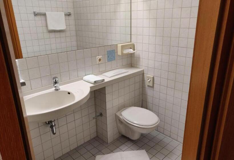 Номер Стандарт Вид на Сад, Landgasthof Hotel Grüner Baum