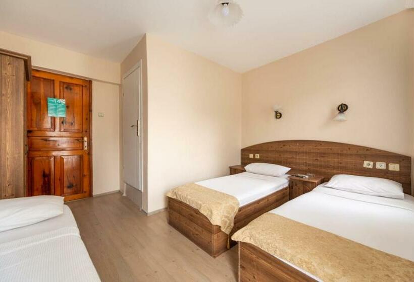 اتاق استاندارد سه نفره, Lİmon Otel FoÇa