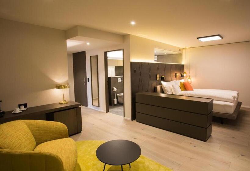 Полулюкс Повышенной Комфортности, Boutique Hotel Sonne Seuzach