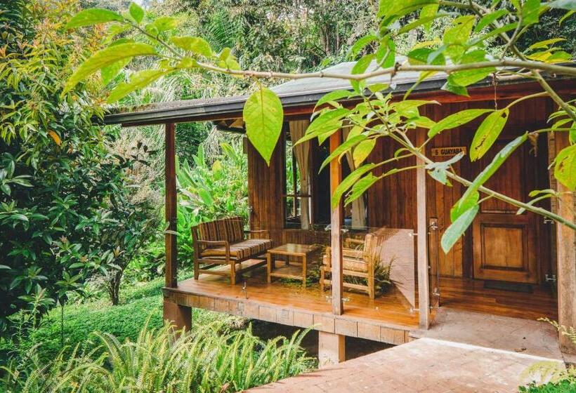 스탠다드 룸 킹사이즈 침대, Piripe Wellness Lodge
