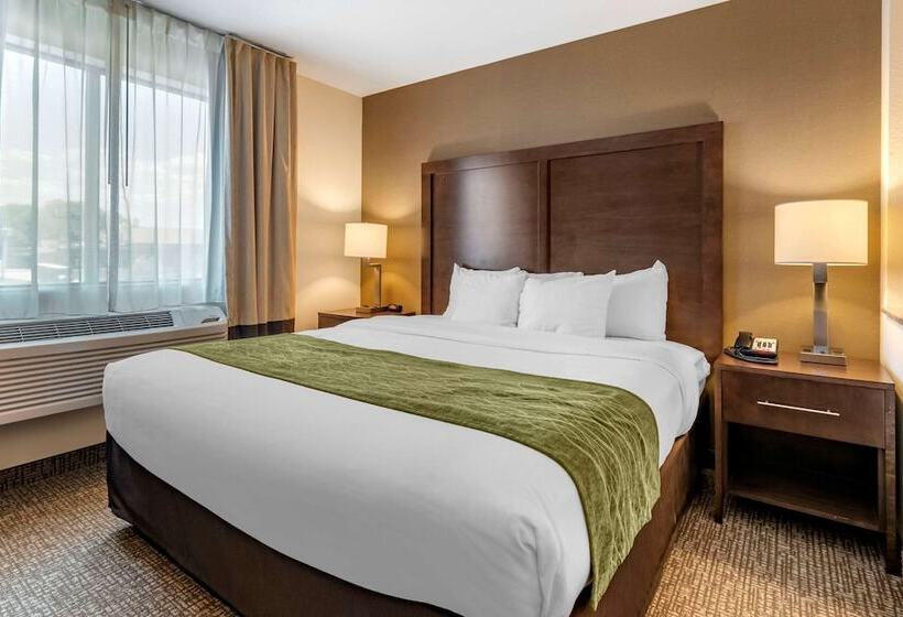 Номер Стандарт, Comfort Inn Williamsport