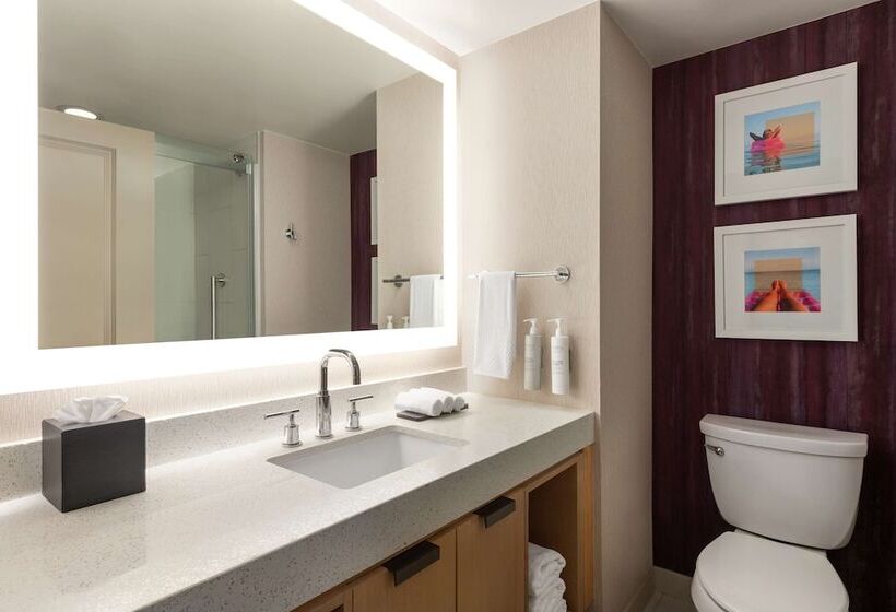 스탠다드 스튜디오 더블 침대, Embassy Suites By Hilton Tampa Downtown Convention Center