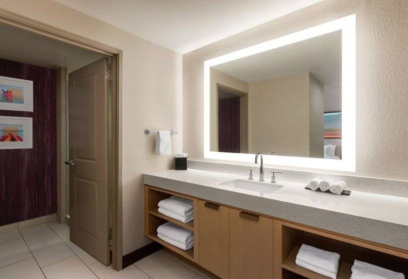 스탠다드 룸 더블 침대, Embassy Suites By Hilton Tampa Downtown Convention Center