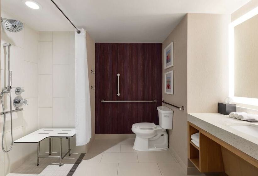 장애인을 위한 스위트, Embassy Suites By Hilton Tampa Downtown Convention Center