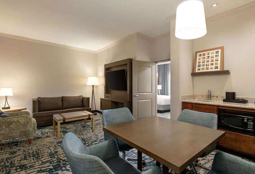 스탠다드 룸 더블 침대, Embassy Suites By Hilton Tampa Downtown Convention Center