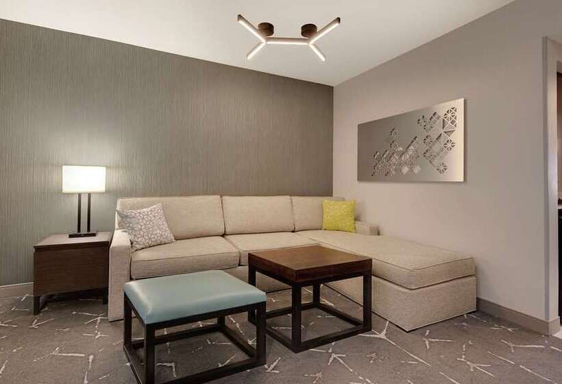 스탠다드 룸, Embassy Suites By Hilton Tampa Downtown Convention Center