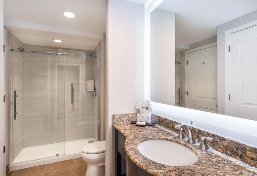 חדר סטנדרט מיטה זוגית, Embassy Suites By Hilton Tucson Paloma Village