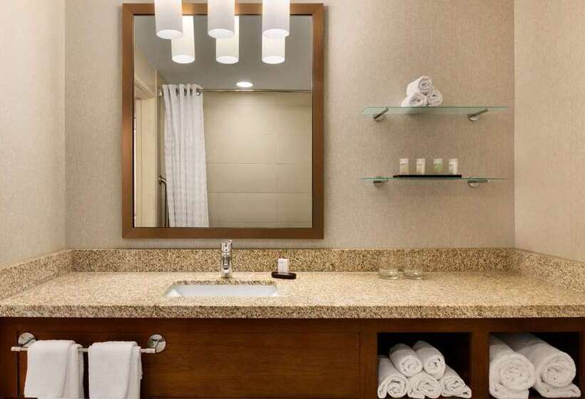 חדר סטנדרט עם מיטת קינג, Embassy Suites By Hilton Tucson Paloma Village