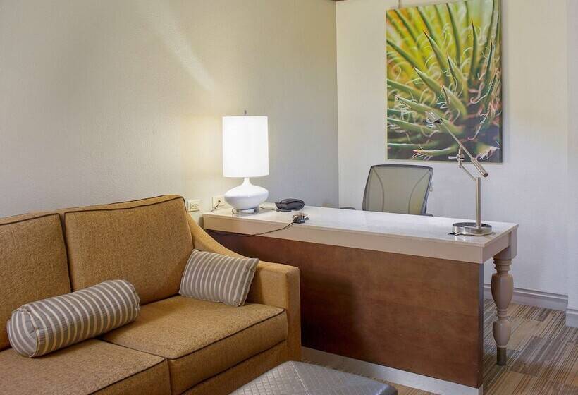 小型套房, Hilton Garden Inn Bentonville Rogers