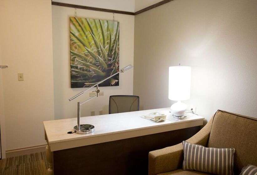 Полулюкс, Hilton Garden Inn Bentonville Rogers
