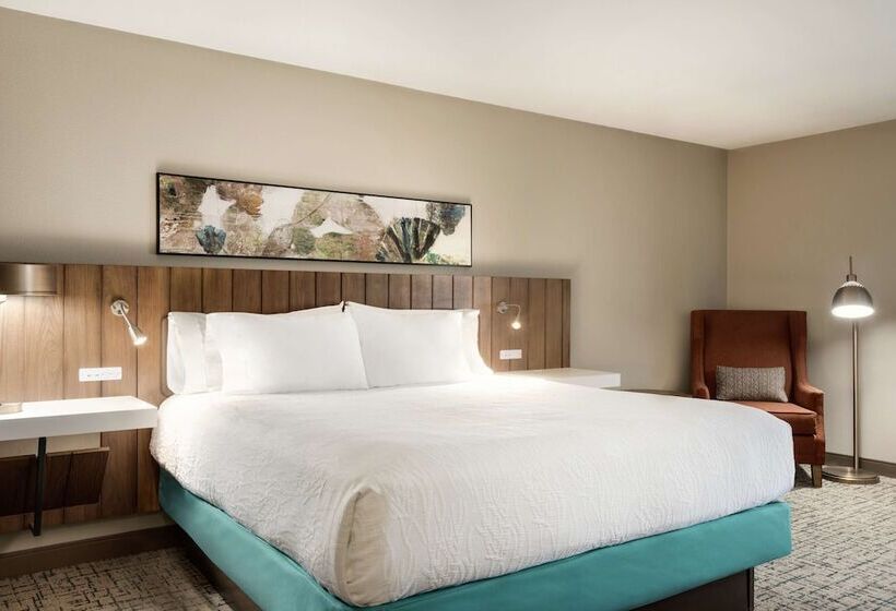 장애인을 위한 스탠다드 룸, Hilton Garden Inn Dubuque Downtown